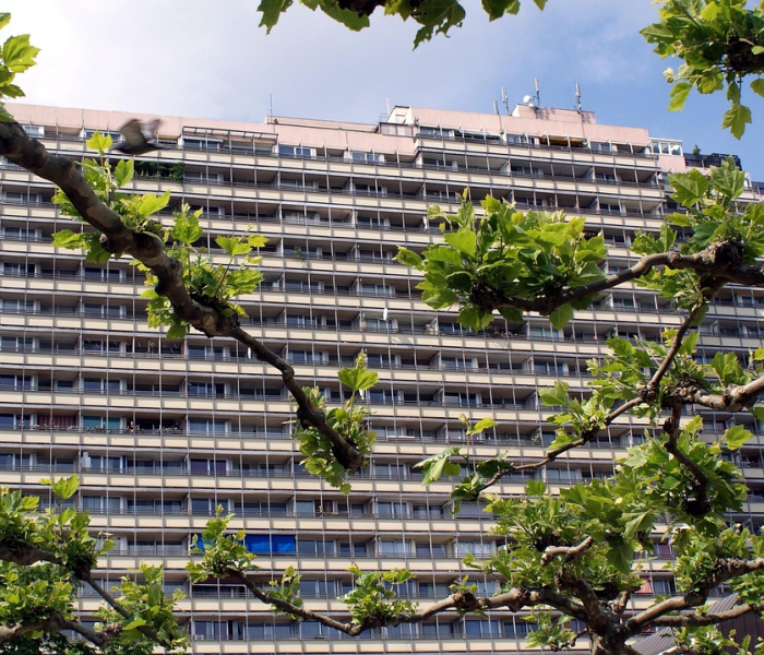 秒懂百科“牛牛房卡链接购买”房卡获取方式 秒懂百科“牛牛房卡链接购买”房卡获取方式