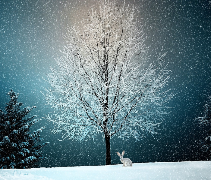 静默是啥/静默的概念 静默是啥/静默的概念