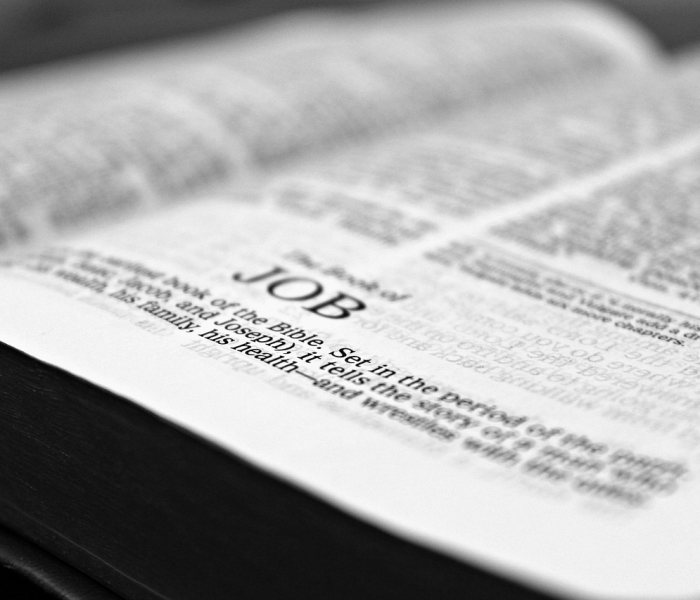 【我国疆域辽阔的优势不包括/我国疆域辽阔位置优越主要体现在哪】