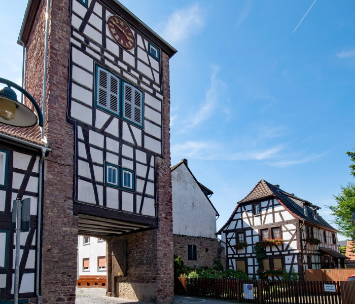 青岛一中榉林校区/青岛一中榉林校区地址