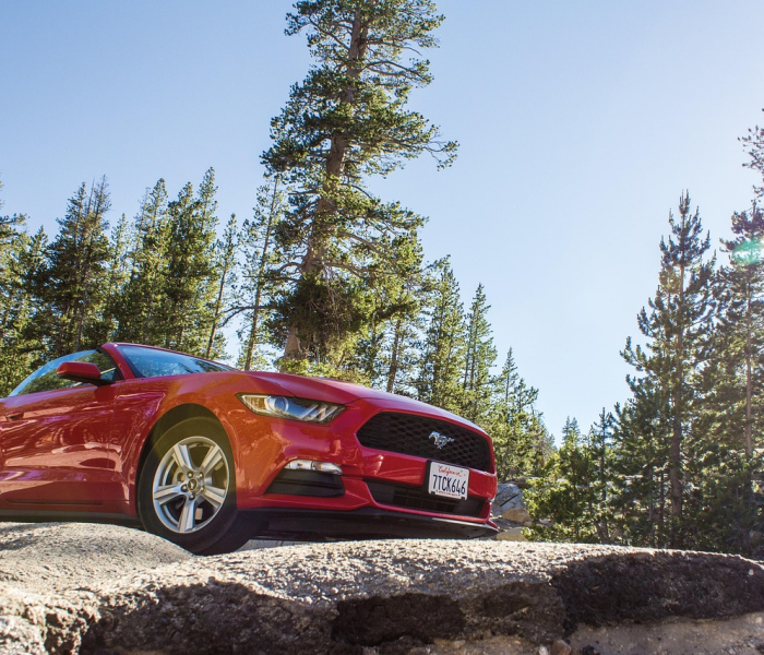 福特猛禽f150汽车之家:福特猛禽f15062报价