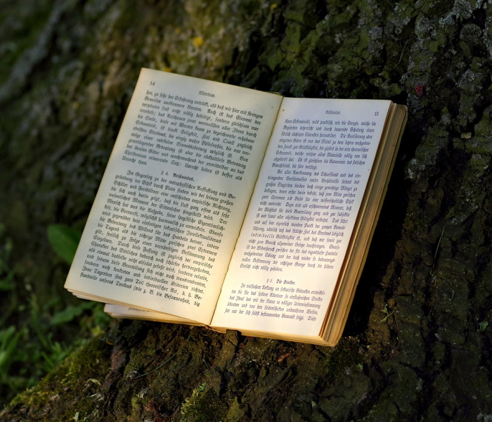 2024年放假法定节假日（2024年放假日历表全年表）