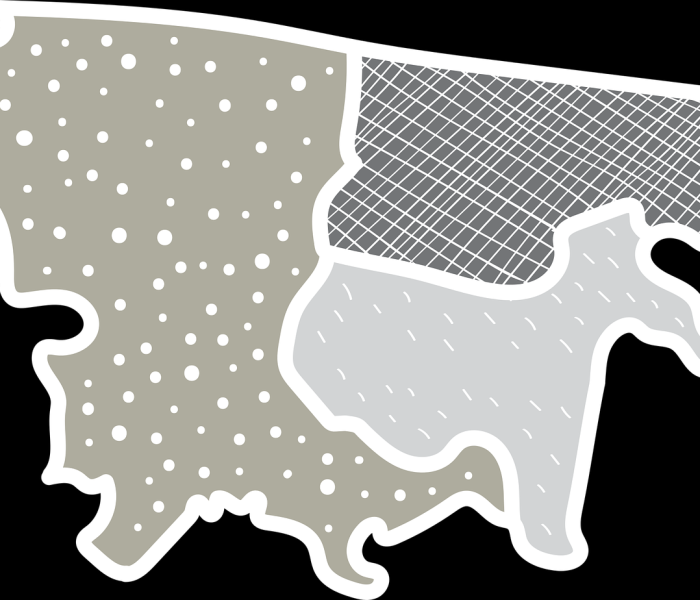 新型冠状病毒区域分布图/新型冠状病毒区域分布