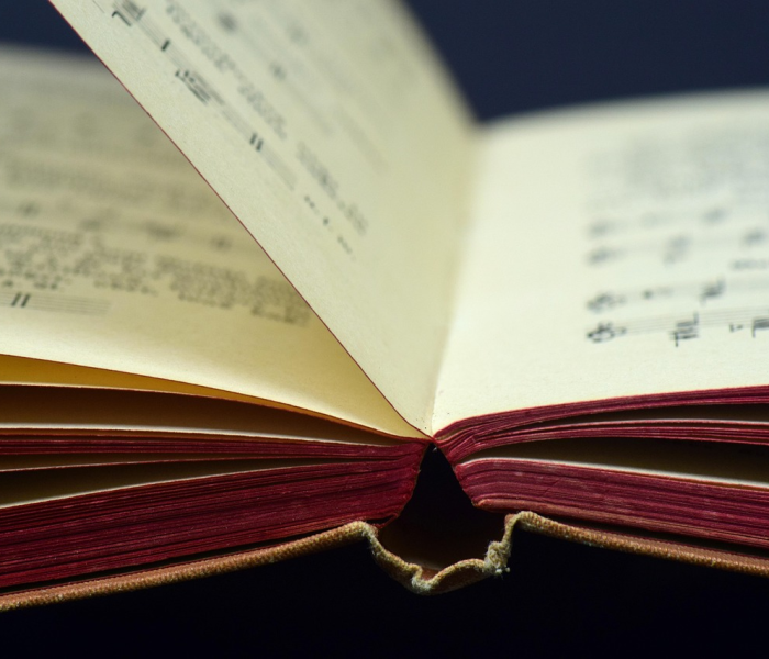 津门雀神速成指南，2024苹果手机独家下载天津麻将最新版全攻略