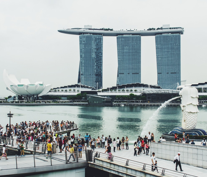 新加坡最新的疫情情况/新加坡最新疫情消息81例 新加坡最新的疫情情况/新加坡最新疫情消息81例