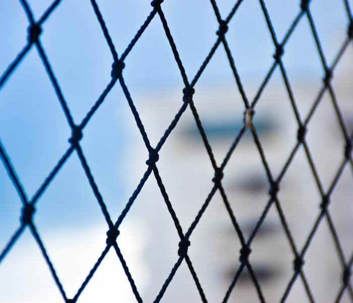 苏州疫情最新动态，精准防控下的城市复苏与未来展望