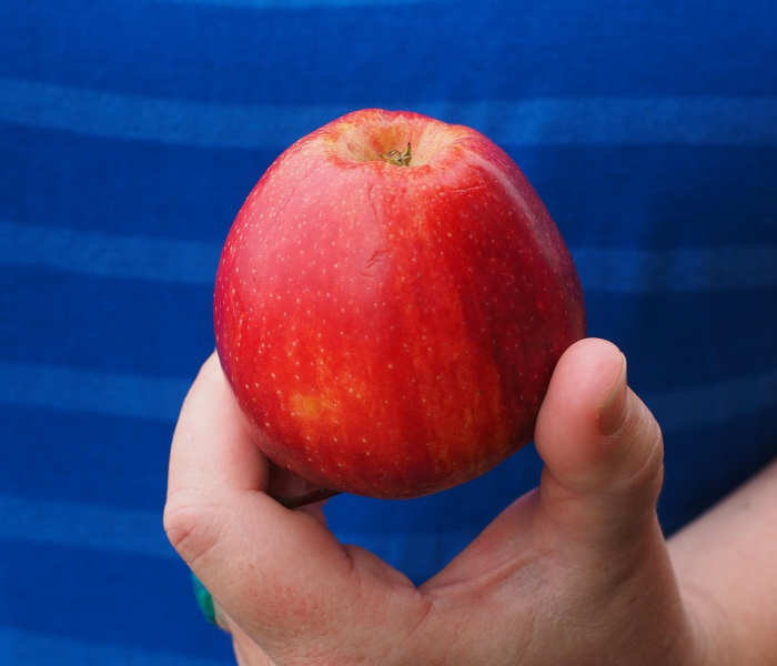 一分钟介绍使用“微信群牛牛房卡多少钱”详细房卡使用教程