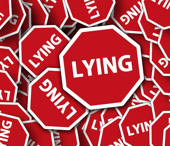 春节可以回老家吗?:春节可以回家嘛