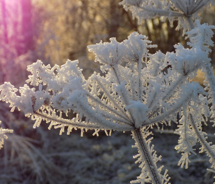 房卡必备教程“微信炸 金花链接怎么搞”详细房卡教程