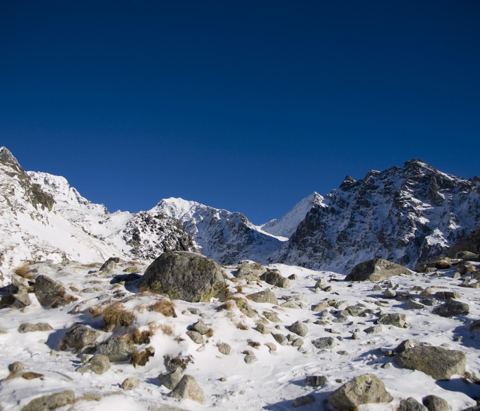 冬奥会跟奥运会区别/冬奥会跟奥运会区别在哪