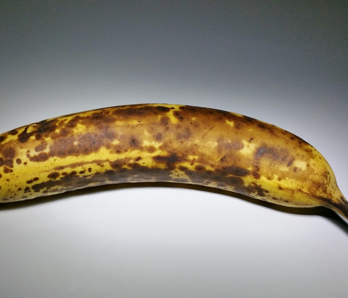 【法国发现极为罕见变异新冠病毒的原因,法国发现极为罕见变异新冠病毒的原因是】