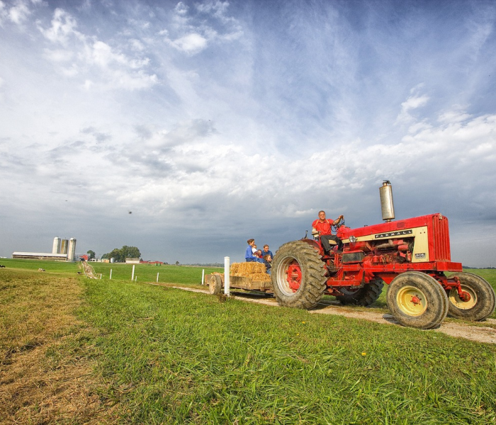 【福建疫情已蔓延四地是哪四地,福建疫情已蔓延四地是哪四地呢】