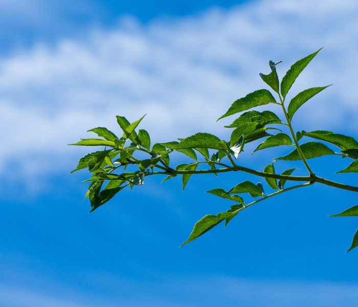 石家庄游戏厅有开的吗:石家庄游戏厅有开的吗现在