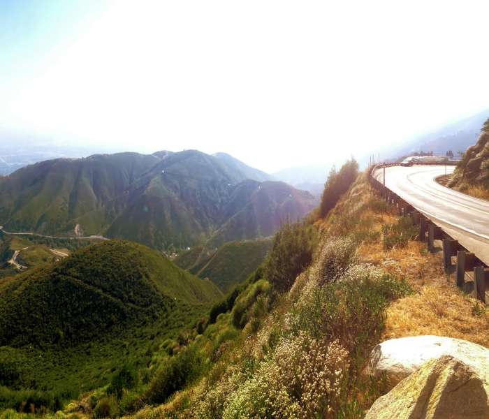 秒懂百科“在哪里买微信炸 金花房卡”房卡获取方式