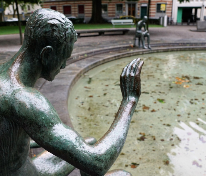 猴孒图片:狨猴种类图片大全