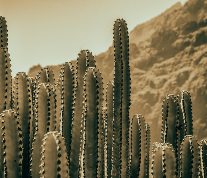 【绵阳被列为中风险地区/绵阳被列为中风险地区了吗】