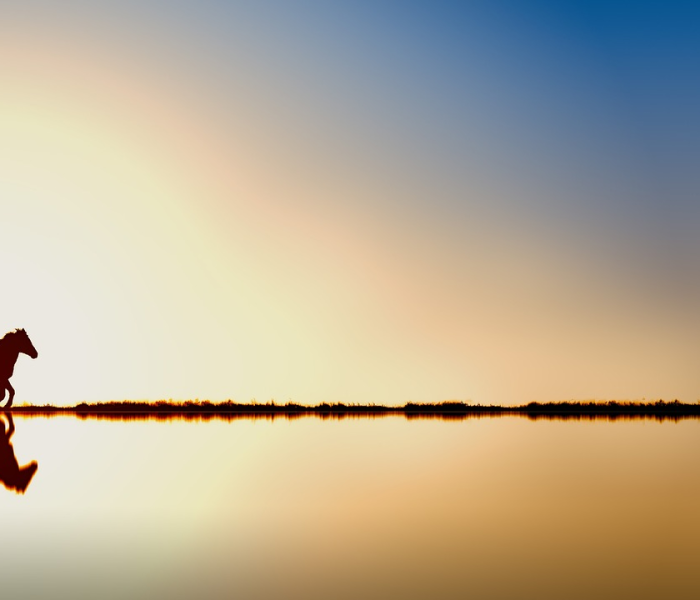 印度疫情会让印度灭亡吗(印度会不会因为疫情倒下) 印度疫情会让印度灭亡吗(印度会不会因为疫情倒下)