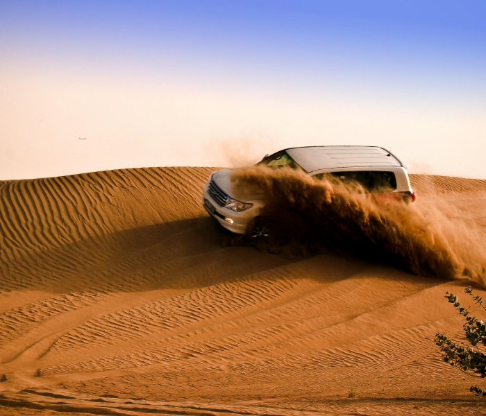 舒兰市公安局领导班子的组织架构与职责解析，构建平安城市的坚强核心