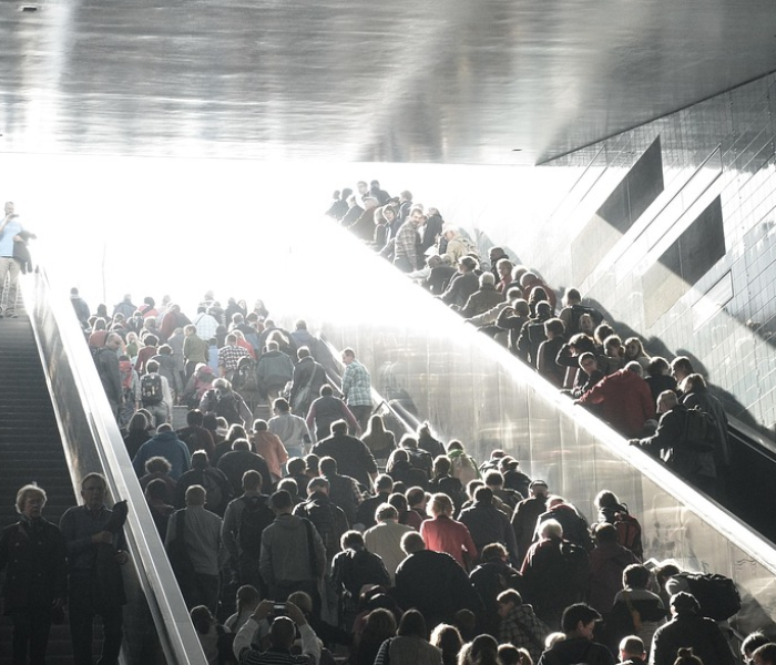 【不让去北京了吗/禁止去北京什么原因】