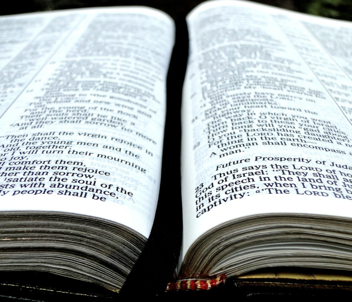 后疫情时代回望,当热点褪去,我们如何与病毒记忆共存? 后疫情时代回望,当热点褪去,我们如何与病毒记忆共存?