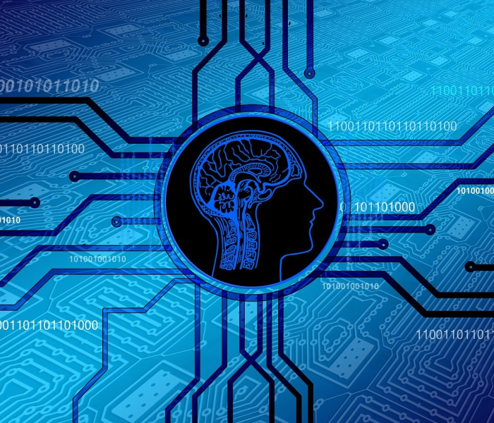 12月5号是什么节日?（十二月五号是什么节日）