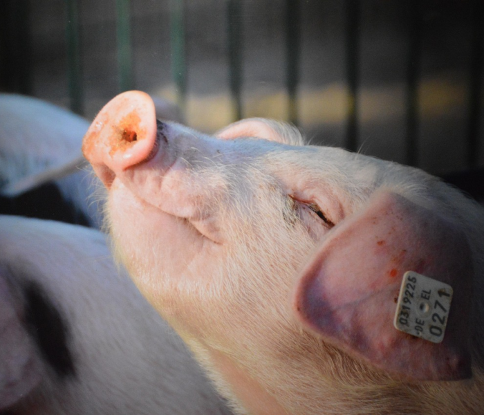 长春疫情最新情况2021/长春疫情最新消息新增病例 长春疫情最新情况2021/长春疫情最新消息新增病例