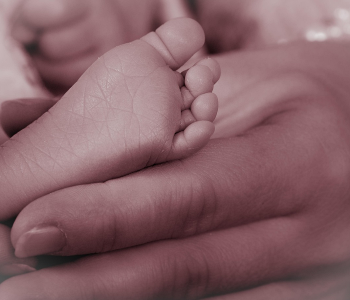 英雄联盟提莫符文天赋/lol提莫符文天赋