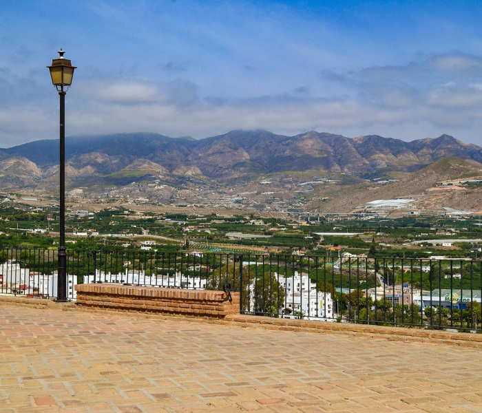 仪陇县最近新消息:仪陇县最近新消息公告