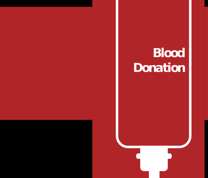 山东疫情速报最新情况/山东疫情最新动态