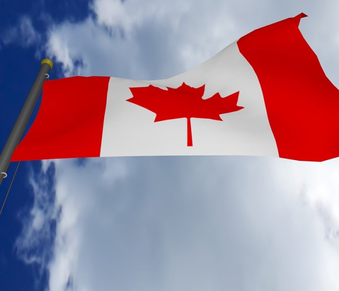 红码需要多少天变绿码:红码需要多少天变绿码呢 红码需要多少天变绿码:红码需要多少天变绿码呢