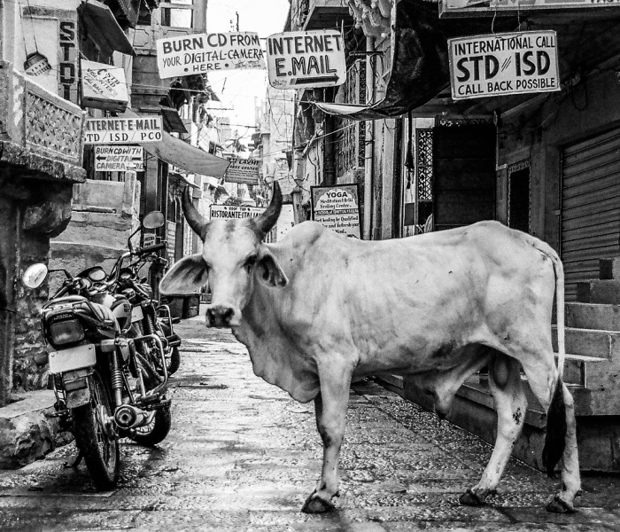 杭州快递正常吗:浙江省杭州市快递什么时候恢复 杭州快递正常吗:浙江省杭州市快递什么时候恢复
