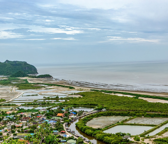 青岛两地划为高风险区域是哪里/青岛哪些地方是高风险区