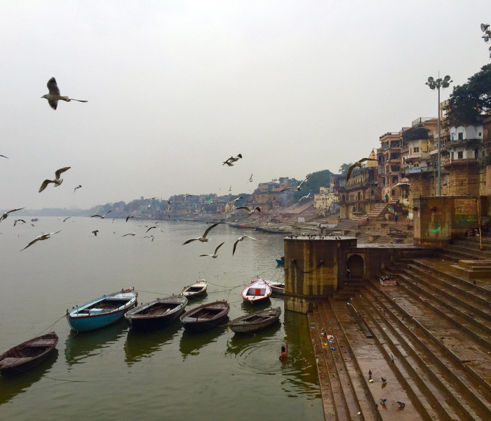 【山东出现炭疽死亡病例是哪里的,山东出现炭疽死亡病例是哪里的病例】