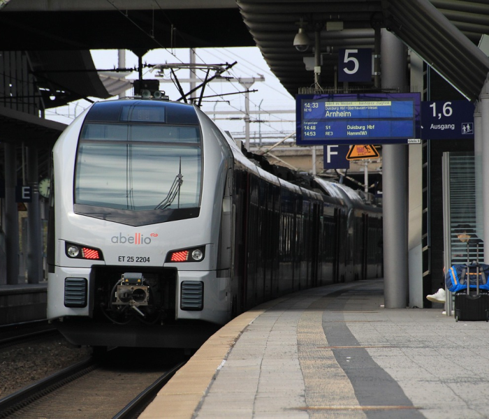 高速公路封路实时查询软件（高速封路在哪查询）