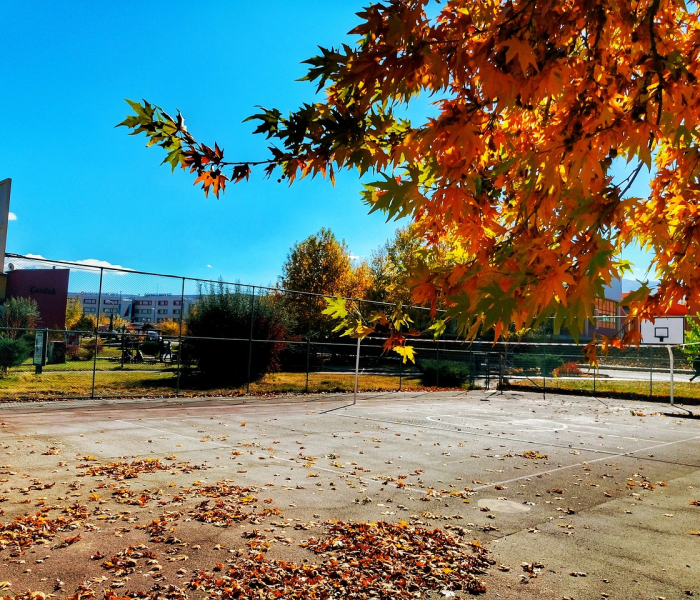 西南大学建校时间及历史背景（西南大学建校多少年了）