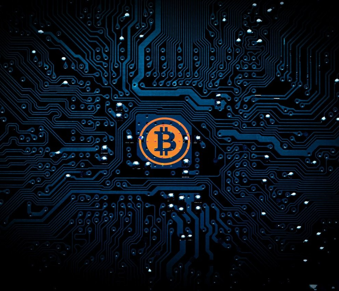 无需核酸证明/没有核酸证明