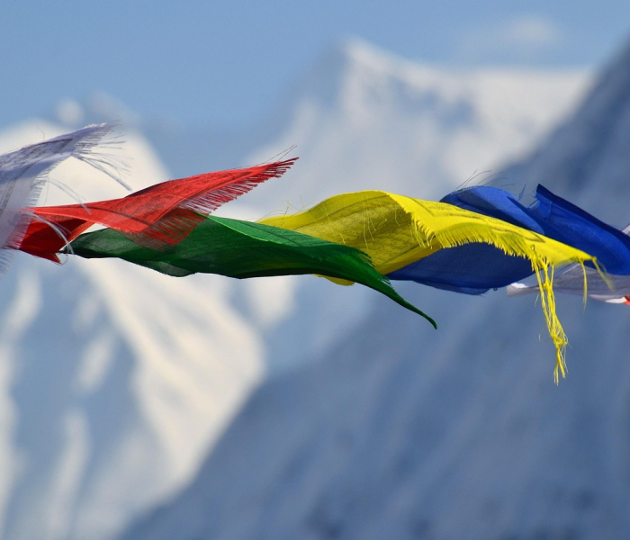 杭州今日疫情实时:杭州今日疫情实时动态