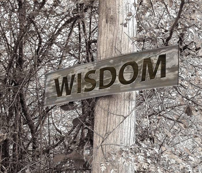 沈丘疫情黑色的背影的简单介绍 沈丘疫情黑色的背影的简单介绍