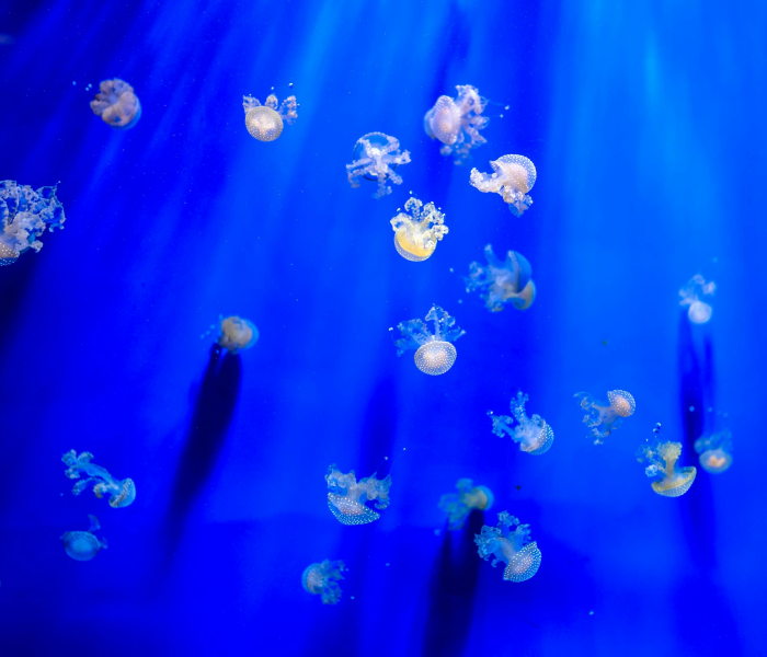 哈尔滨小区封闭小区名单最新/哈尔滨哪些小区封闭管理了