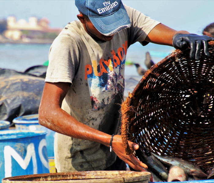 武汉感染700人/武汉上千人感染