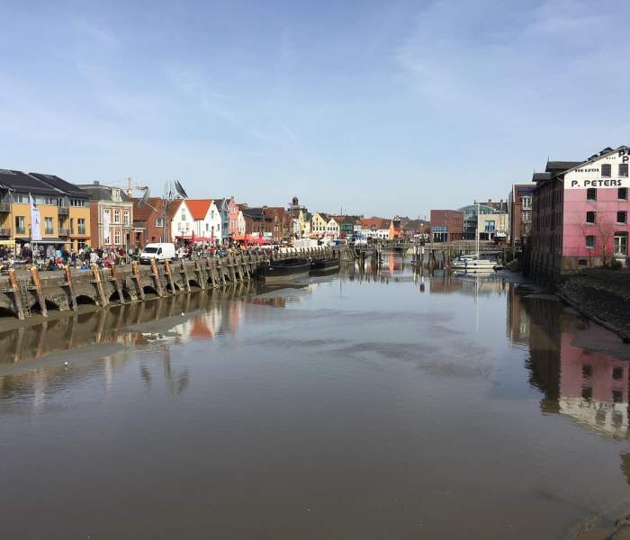 建行纸黄金实时走势/建行纸黄金行情