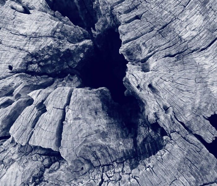 【山东淄博2例新增新型肺炎/山东淄博2例新增新型肺炎病例】