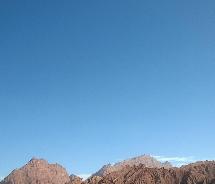 秒懂百科“卡农大厅牛牛房卡充值”详细房卡教程