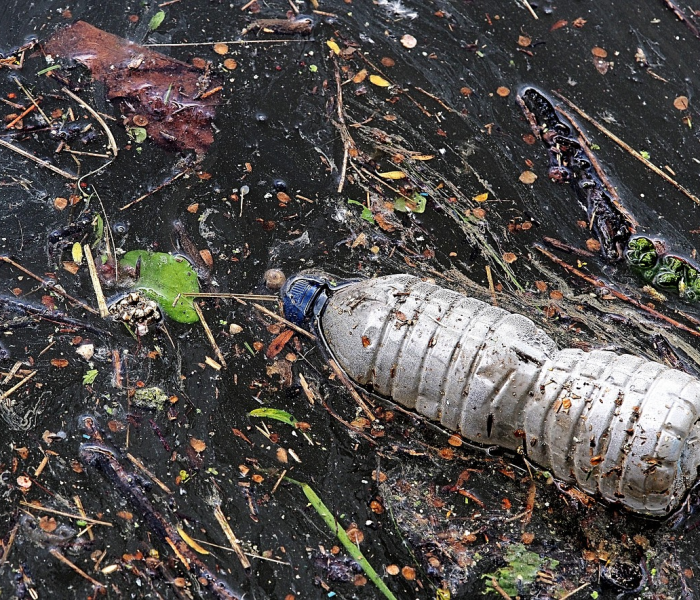 新冠最强变异毒株（新冠最强变异毒株有哪些）