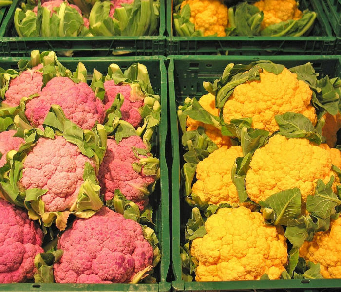 房卡必备教程“微信玩金花房卡是怎么”获取房卡教程-哔哩哔哩 房卡必备教程“微信玩金花房卡是怎么”获取房卡教程-哔哩哔哩