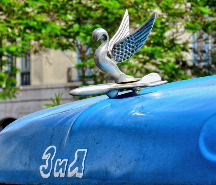 南京最新疫情动态/南京最新疫情最新消息实时发布