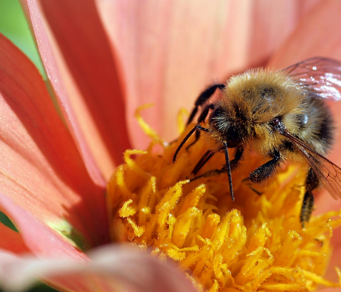 一分钟了解“微信金花群房卡哪里买”详细房卡使用教程 一分钟了解“微信金花群房卡哪里买”详细房卡使用教程