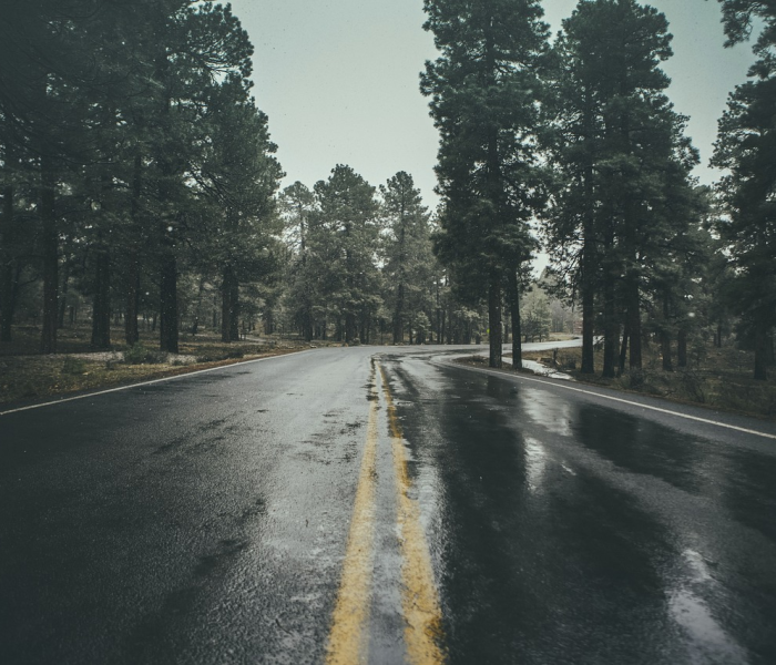 【辽宁高速路况查询今天最新消息/辽宁高速公路实时路况】