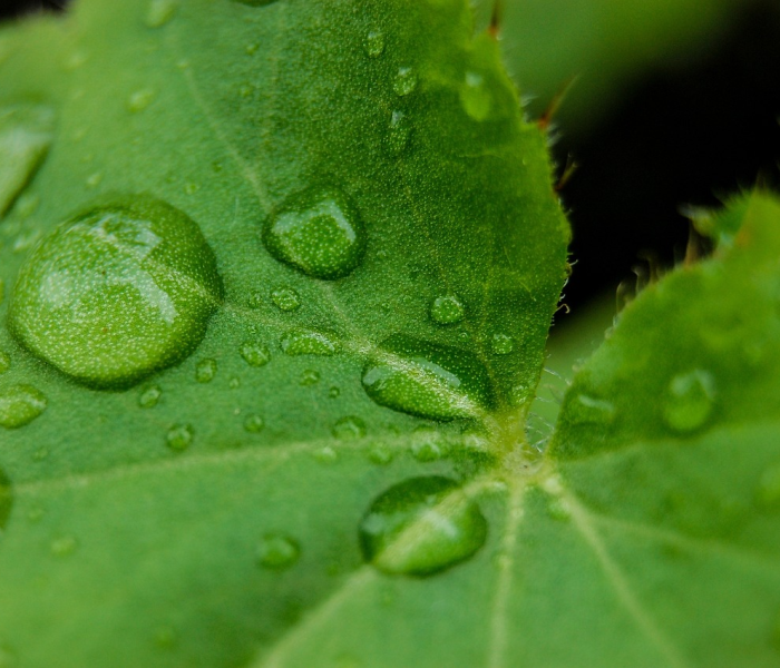 疫情最新动态西安:疫情最新动态西安最新消息
