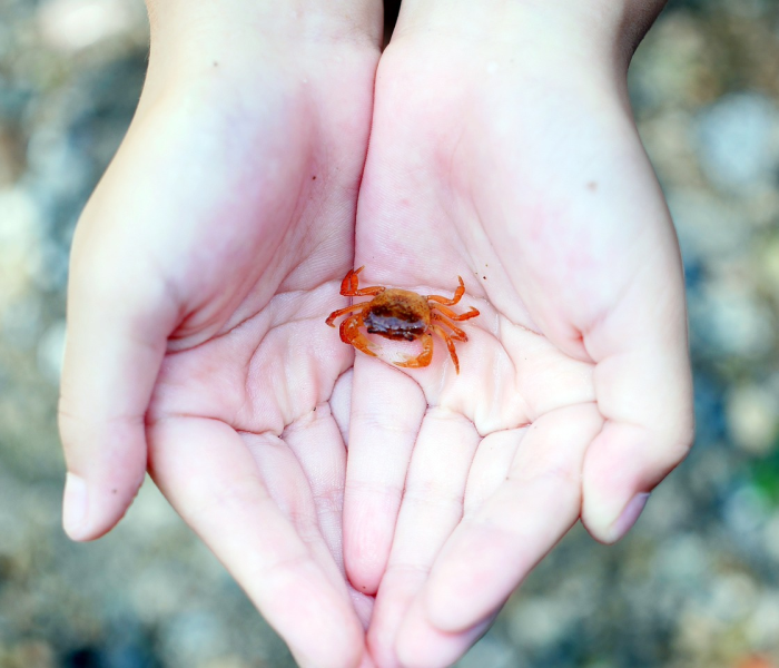 【河北一人感染四千人/河北560人感染】